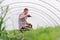 Back man farmer pours water from seedlings hoses in the greenhouse. Man grows seedlings in the warmth of the garden in the country