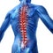 Back Pain In Human Body