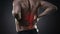 Back pain, kidney inflammation, ache in man`s body