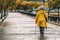 Back of senior woman in yellow coat and walking stick, umbrella, at rainy day. Generative AI