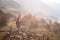 Back shot of a female farmer in the Peruvian Andes carrying food wrapped in a blanket