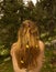 Back shot of a naked blonde Hispanic girl with long hair with flowers in the forest