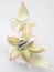 Back side of hand made flower rose on white blurred background with pin for fastening. Vintage retro style fashionable female cors