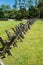 Back and Stack Rail Fences in a Meadow on Groundhog Mountain