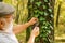 Back to nature. Elderly man examine tree leaves with magnifying glass. Old person in woods exploring nature. Nature