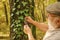 Back to nature. Elderly man examine tree leaves with magnifying glass. Old person in woods exploring nature. Nature