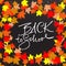 Back to school. Chalk lettering on blackboard surface. Typography poster with autumn leaves. Vector illustration.