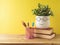 Back to school concept with colorful pencils, books and cute funny plant on wooden table over yellow background