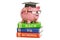 Back to school concept. Piggy bank on books, 3D rendering
