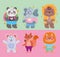 Back to school, cute panda bear fox koala and lion cartoon