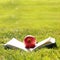 Back to School. Open Book and Apple on Grass.