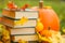 back to school.Study and education. Autumn cozy reading.Stack of books,pumpkins. Halloween books.Cozy autumn mood