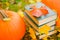 back to school.Study and education concept.Halloween books. Autumn reading.Stack of books,pumpkins on the autumn garden
