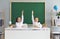 Back to school. Two adorable little girls sitting at desk and raising their hands, ready to answer lesson at classroom