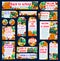 Back to School vector autumn study posters banners