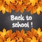 Back to school, written on blackboard with autumn leaves,