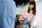 Back view of African female pediatric dental specialist making oral checkup of little curly red haired school girl