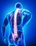 Back view of anatomy of male back pain in blue