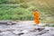 Back view of asian monk standing in the nature background