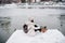 Back view of backpacker woman sitting on pier in front of frozen lake in city. travel and Lifestyle during winter in city