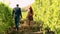 Back view of beautiful caucasian couple walking in vineyard