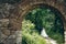 Back view of the beautiful walking newlywed couple by the hand along the path of the green forest. Look through the old