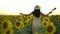 Back view beauty girl with long hair in dress running on sunflower field in sunset summer