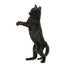 Back view of a Black kitten standing on hind legs, pawing up