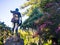 Back view of Cecil John Rhodes statue standing in Cape Town Gardens.