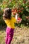 Back view. cute curly girl child in a yellow T-shirt and burgundy pants picks rowan berries