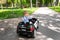 Back view of cute little caucasain blond toddler boy enjoy having fun riding electric powered police toy car by asphalt