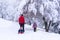 Back view of father sledding his little baby and another daughter walk with them, Segmenler park, Ankara