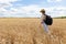 Back view of female agronomy with travel backpack walking at path in middle of wheat fields exploring international