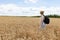 Back view of female agronomy with travel backpack walking at path in middle of wheat fields exploring international