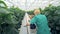 Back view of a female greenery employee harvesting cucumbers