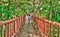 back view of female tourist walking on path in the forest