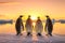 back view of four emperor penguins in arctic looking at sunset