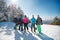 Back view of friends on winter holidays on the mountain top.