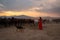 Back view of girl in red dress among many horses in sunset