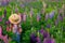 Back view. girl in a straw hat in denim overalls walks on a flower field with lupins