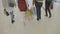 Back view of a group of young fashionable women walking and carrying shopping bags in the mall -