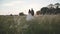 Back view of happy wedding couple walks on green grass on sunset