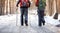 Back view of hikers in forest on winter