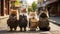 back view of kittens wearing school bags going to school