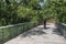 Back view man biking along nature boardwalk near downtown Austin