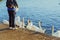 Back view no face woman giving food to swans in the lake. Feeding group of swans in the park. A simple pleasure for mental health