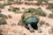 Back view outdoor photographer lies on ground taking picture of lizard in steppe