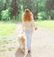 Back view owner woman and Golden Retriever dog walking in spring