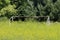 Back view of partially rusted old white metal soccer football goal post without net left on large field surrounded with tall grass