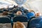 Back view of passengers on chairs inside aircraft